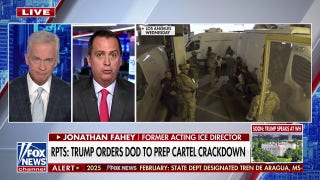 Former acting ICE director says ‘the game is up’ for cartels amid Trump’s border crackdown