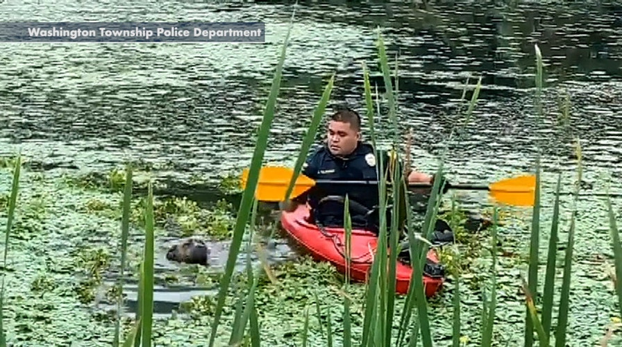Cop in kayak helps rescue dog stuck in muddy pond