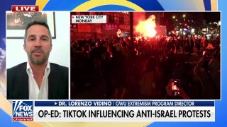 Hamas is trying to influence young Americans through TikTok amid anti-Israel protests, expert warns - Fox News