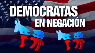 Nuevo proyecto de demócratas: hablar con hombres - Fox News