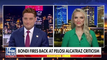 Democrats now stand for antisemitism and socialism: Political strategists