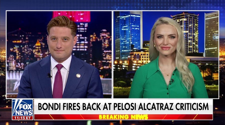 Democrats now stand for antisemitism and socialism: Political strategists