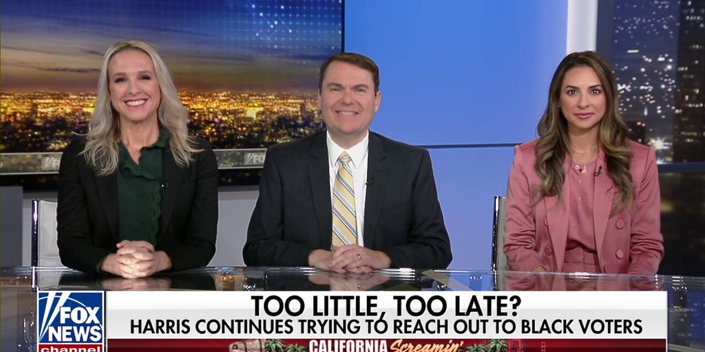 The Black community realizes Democrats have sold them out: Carl Demaio