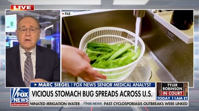 Vicious stomach bug spreads across US