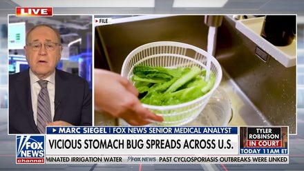 Vicious stomach bug spreads across US