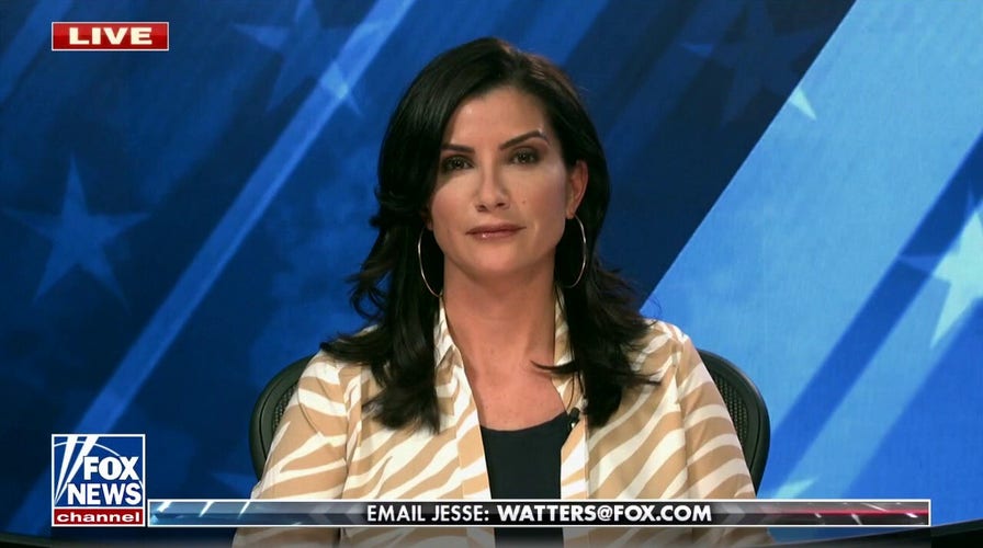 Dana Loesch: Media perpetuates extreme perceptions of America