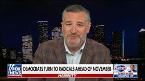 Sen Ted Cruz: It's all about turnout