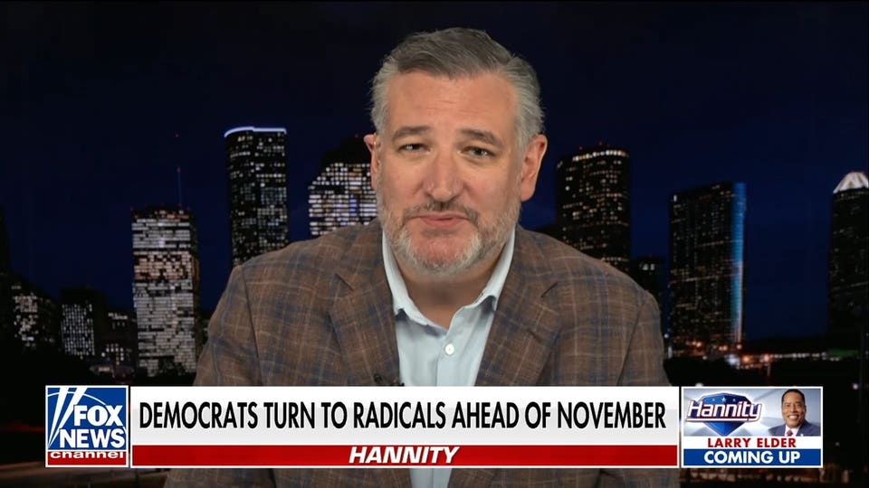 Sen Ted Cruz: It's all about turnout