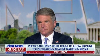 Throwing money at the border will not fix it: Michael McCaul - Fox News