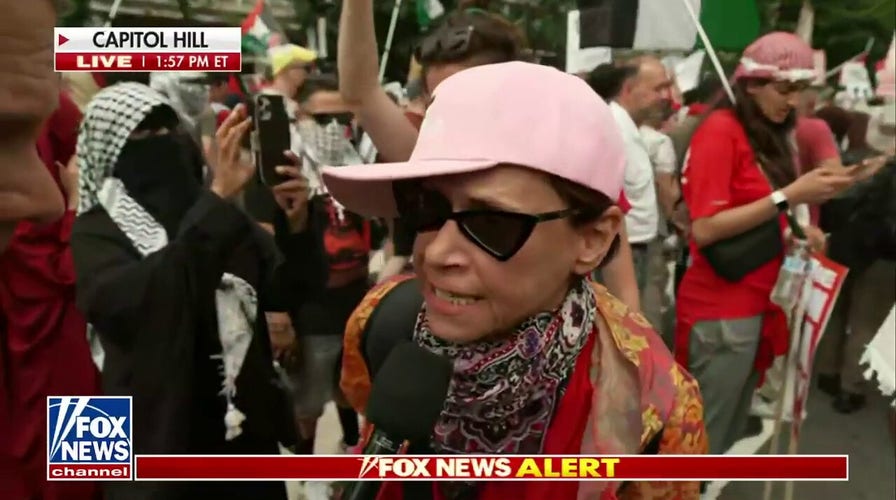 Protester on Israel-Hamas war: 'It's human rights!' 