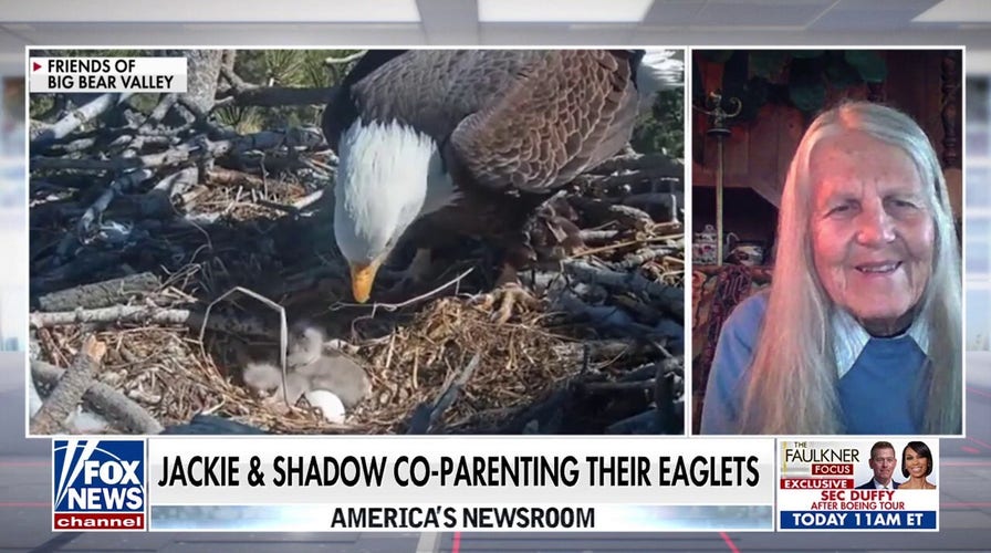 Big Bear bald eagles tend to eaglets after snowstorm