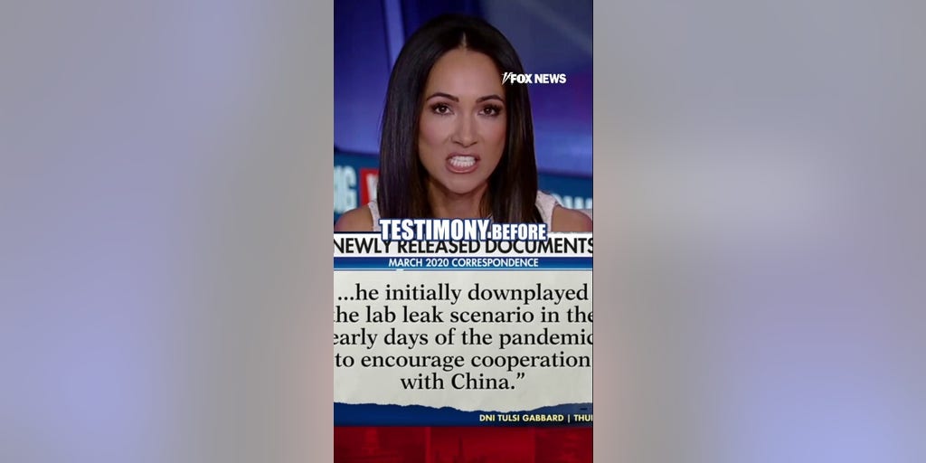 Former DNI Gabbard: Released documents expose alleged COVID cover-up