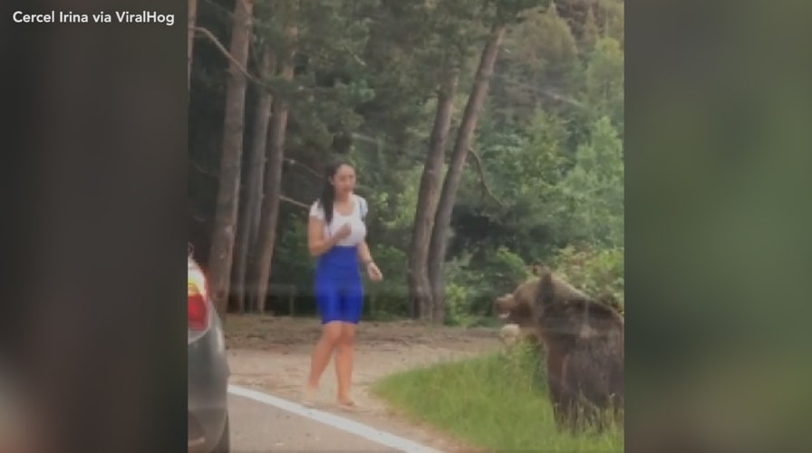 Bear filmed lunging at woman who got too close to take a picture