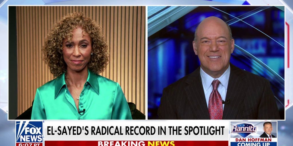 Ari Fleischer: The Democrats have cooked their goose