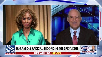 Ari Fleischer: The Democrats have cooked their goose