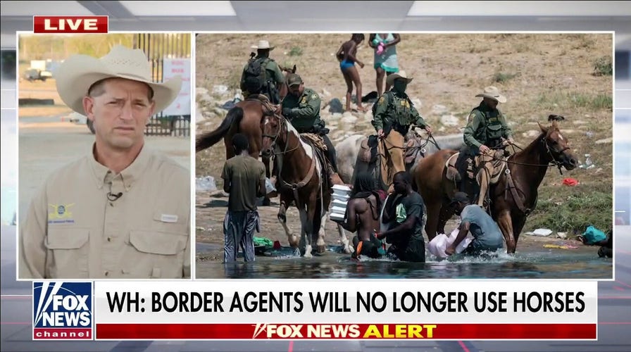Ending use of horses at border will impact agents' ability to patrol: Former border agent