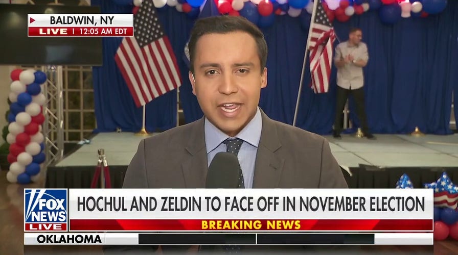 Hochul and Zeldin to face off in November election