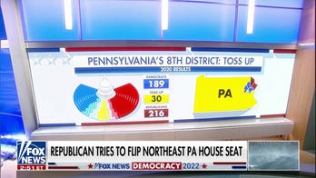 John Fetterman polls ahead of Dr. Oz  in Pennsylvania amid voters’ crime concerns