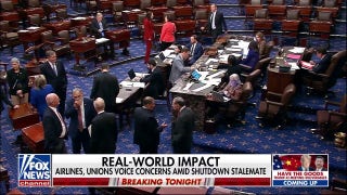 Airline industry demanding vote to reopen the government