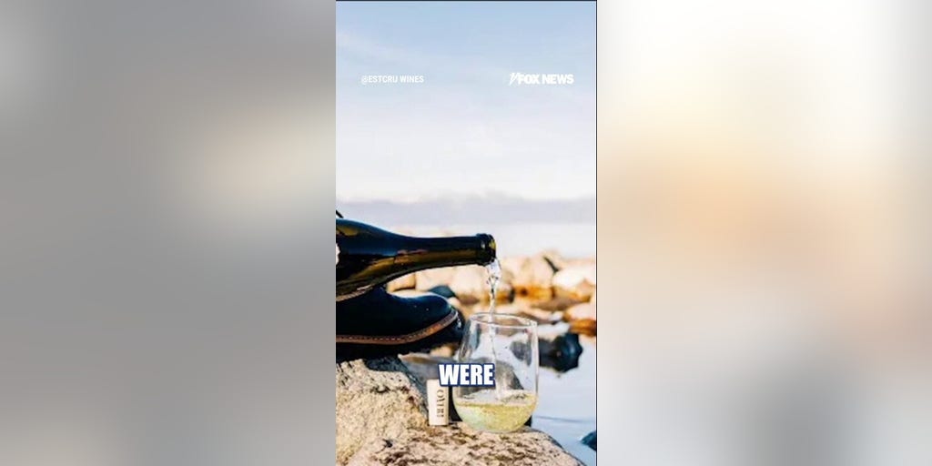 Ilhan Omar, husband's winery SHUTS DOWN