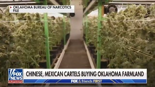 Concerns mount over Chinese, Mexican cartels buying farmland in Oklahoma  - Fox News