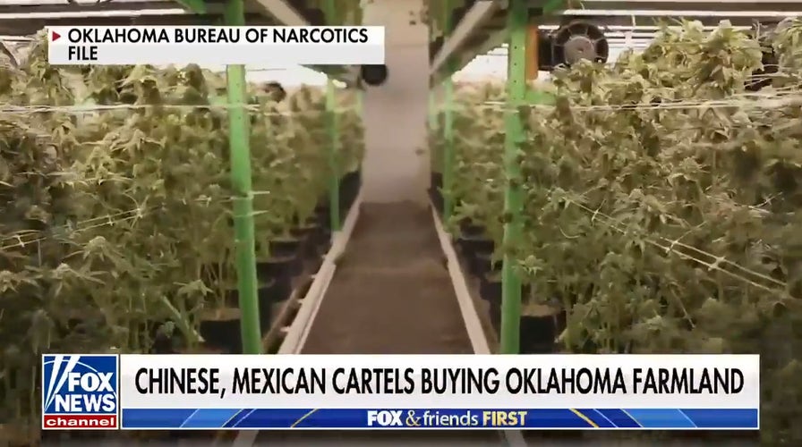 Concerns mount over Chinese, Mexican cartels buying farmland in Oklahoma 