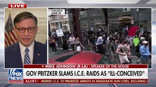 Speaker Johnson praises 'understaffed, overwhelmed' ICE agents for deportation numbers