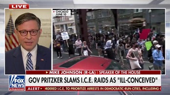 Speaker Johnson praises 'understaffed, overwhelmed' ICE agents for deportation numbers 