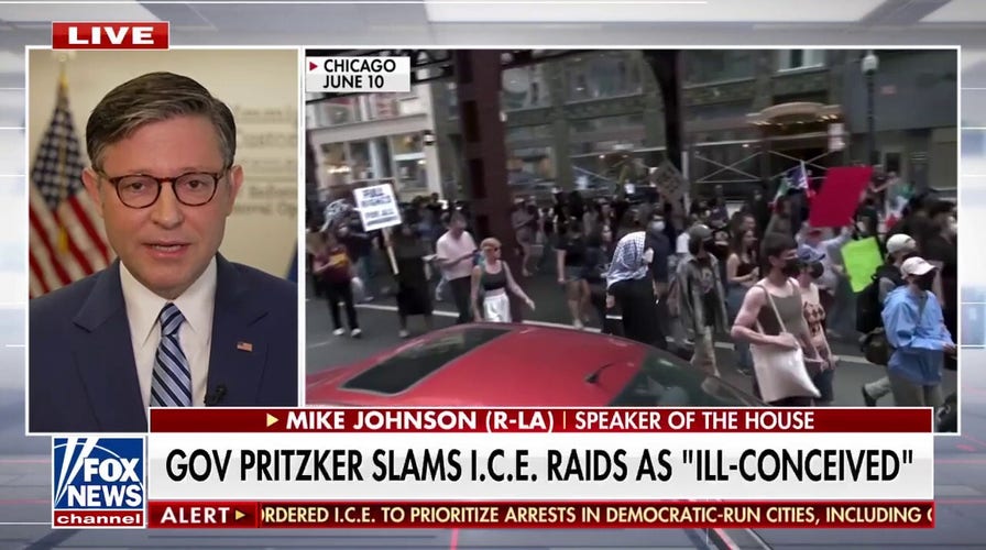 Speaker Johnson praises 'understaffed, overwhelmed' ICE agents for deportation numbers 