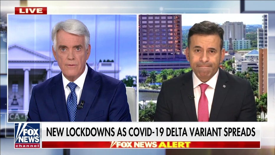 Delta most common COVID19 variant in US, data show Fox News