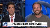 Expert answers whether sharks would make good security guards for Trump’s Alcatraz reboot