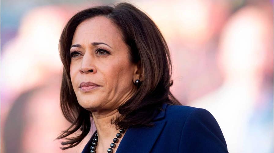 'The Five' react to Joe Biden's selection of Kamala Harris as running mate