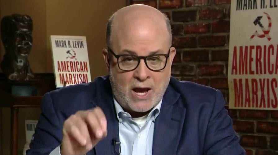 Levin rips Texas Democrats fleeing state to block GOP election bill: 'Bus of clowns'