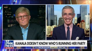 Political analyst offers an answer to who is the leader of the Democratic Party