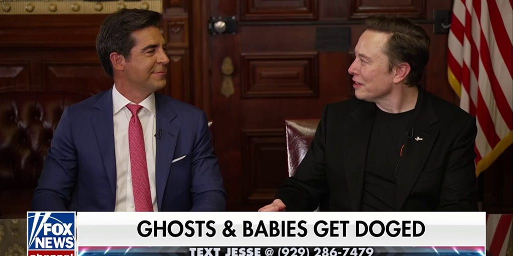 Elon Musk exposes fraud: There are 'layers of stealing'