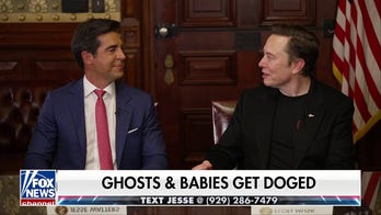 Elon Musk exposes fraud: There are 'layers of stealing'
