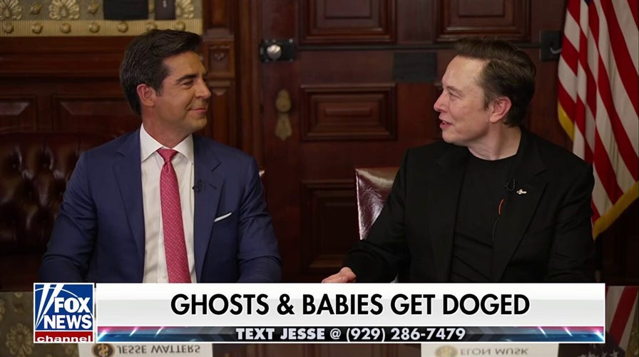 Elon Musk exposes fraud: There are 'layers of stealing'