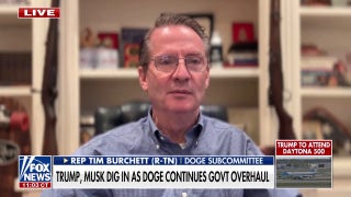 Democracy and capitalism are the two things US 'ought to be promoting': Rep. Tim Burchett - Fox News