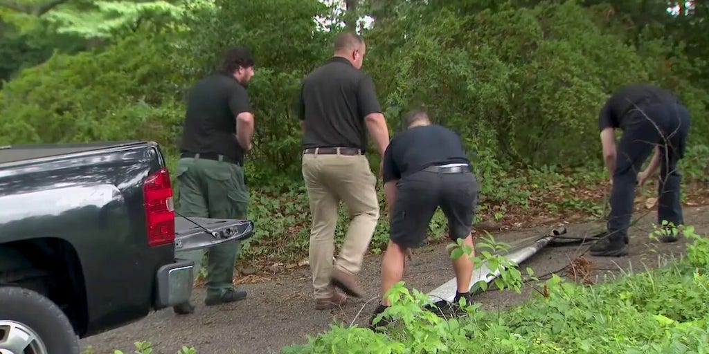 Delta Air Lines wing flap lands in North Carolina driveway
