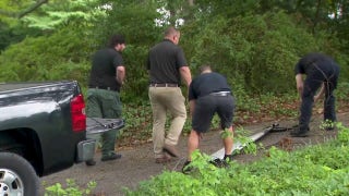 Delta Air Lines wing flap lands in North Carolina driveway