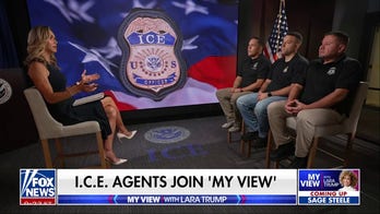 ICE agent breaks down how anti-ICE lawmakers put officers, public in danger