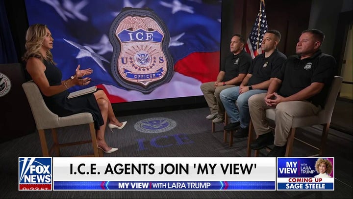 ICE agent breaks down how anti-ICE lawmakers put officers, public in danger