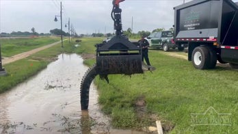 Massive alligator removed from ditch with grapple truck
