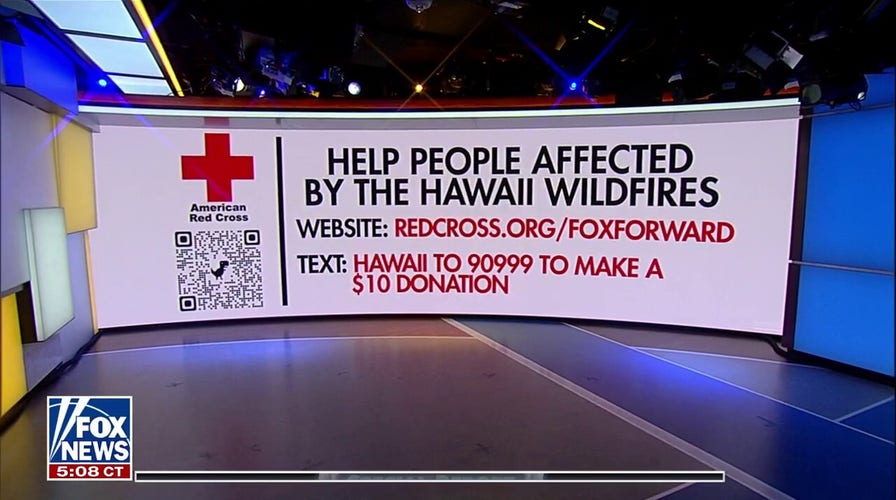 How can people help the victims of the Maui fires?