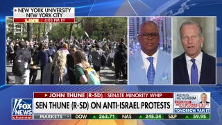 Republicans call for federal action against anti-Israel chaos on campus - Fox News