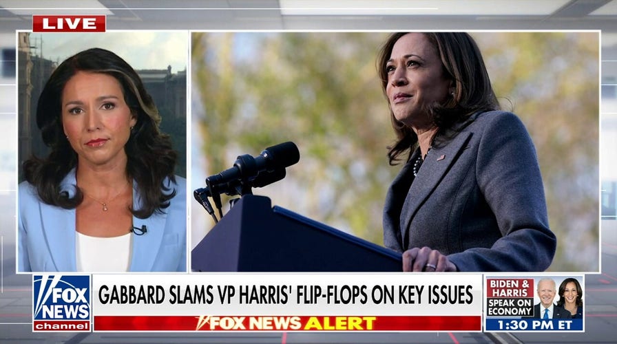 Kamala Harris is an 'empty suit' who has her handlers worried: Tulsi Gabbard 