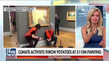McEnany, 'Outnumbered' mock climate activists' 'ridiculous' attempt to destroy Monet painting