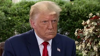 Trump blames liberal leadership for spike in violent crime in US, claims Joe Biden wants to defund the police