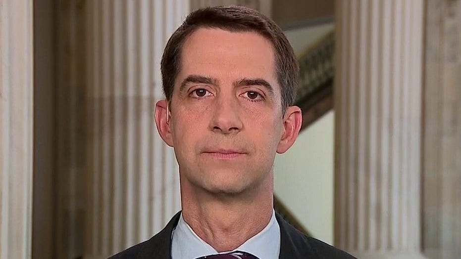 Cotton warns the Supreme Court 'will lose all legitimacy' if Dems' plan to expand it happens