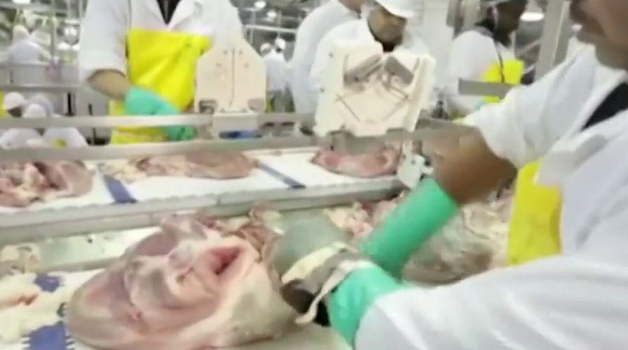 Sen. Deb Fischer on meat shortages, potential price manipulation amid pandemic